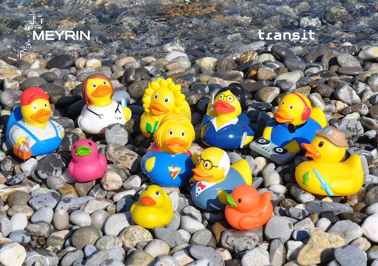 Meyrin-les-Bains du lundi 27 juin au samedi 16 juillet 2022